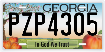 GA license plate PZP4305