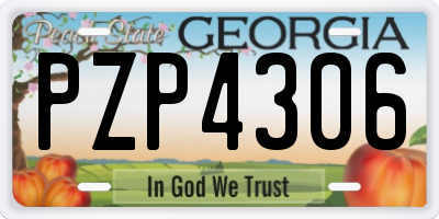 GA license plate PZP4306