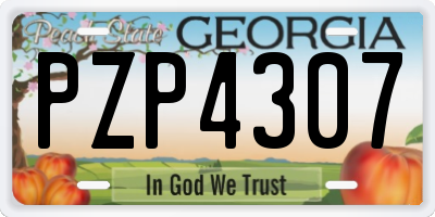 GA license plate PZP4307