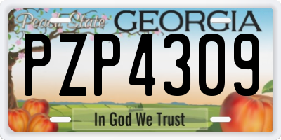 GA license plate PZP4309