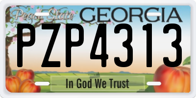 GA license plate PZP4313