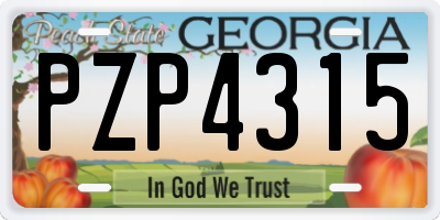 GA license plate PZP4315
