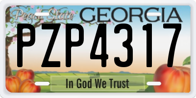 GA license plate PZP4317