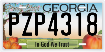 GA license plate PZP4318