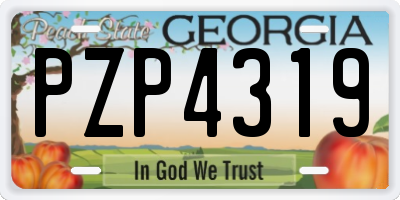 GA license plate PZP4319