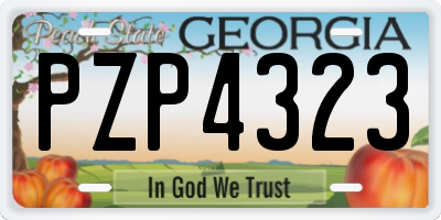GA license plate PZP4323