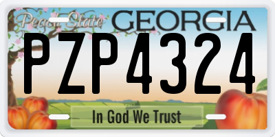 GA license plate PZP4324