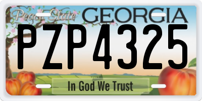GA license plate PZP4325