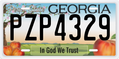 GA license plate PZP4329