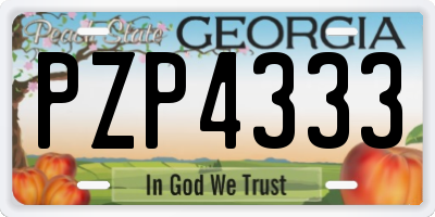 GA license plate PZP4333