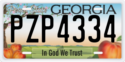 GA license plate PZP4334