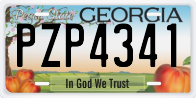 GA license plate PZP4341
