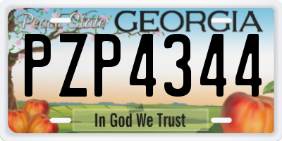 GA license plate PZP4344