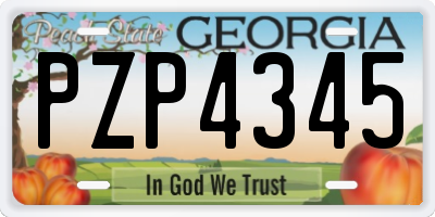 GA license plate PZP4345