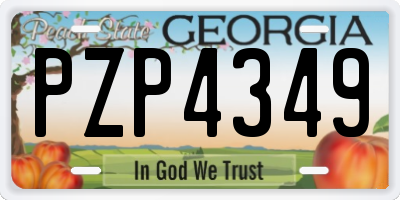 GA license plate PZP4349