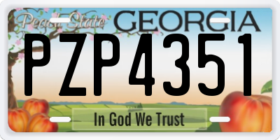 GA license plate PZP4351