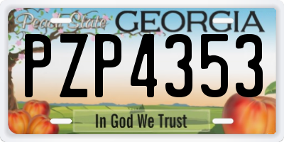 GA license plate PZP4353
