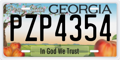 GA license plate PZP4354