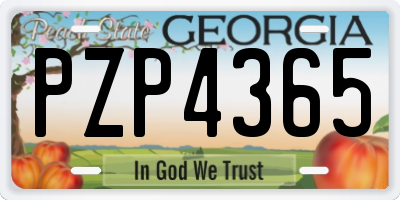 GA license plate PZP4365