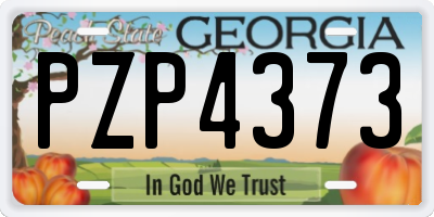 GA license plate PZP4373