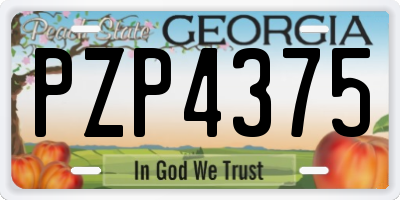 GA license plate PZP4375