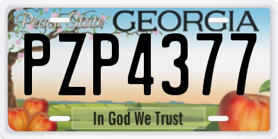 GA license plate PZP4377