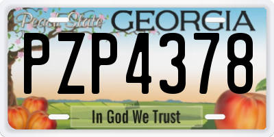 GA license plate PZP4378