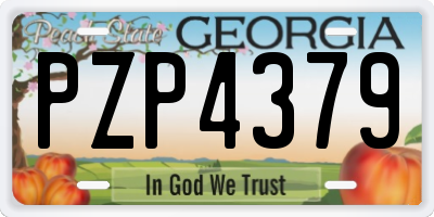 GA license plate PZP4379