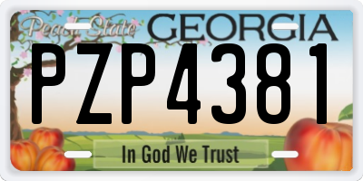 GA license plate PZP4381