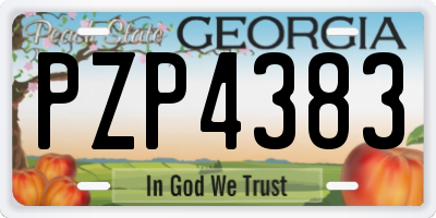 GA license plate PZP4383