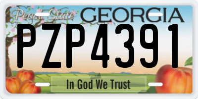 GA license plate PZP4391