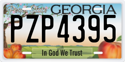 GA license plate PZP4395