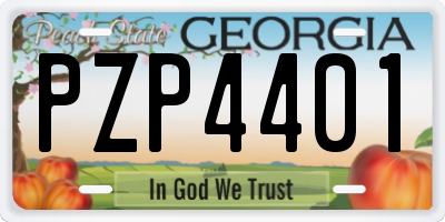 GA license plate PZP4401