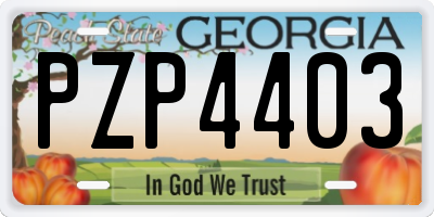 GA license plate PZP4403