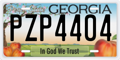 GA license plate PZP4404