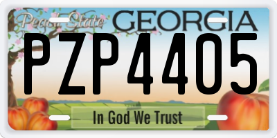 GA license plate PZP4405