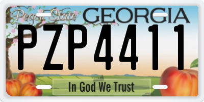 GA license plate PZP4411