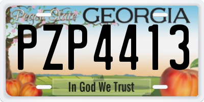 GA license plate PZP4413