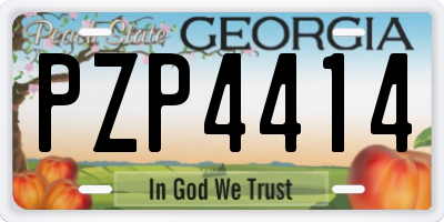 GA license plate PZP4414