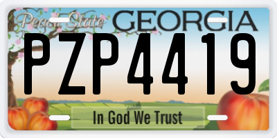 GA license plate PZP4419