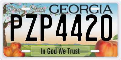 GA license plate PZP4420
