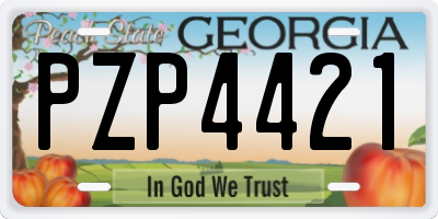 GA license plate PZP4421