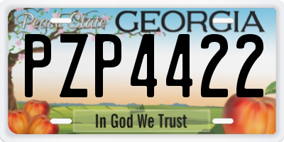 GA license plate PZP4422