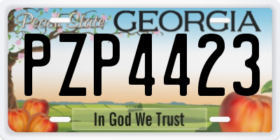 GA license plate PZP4423
