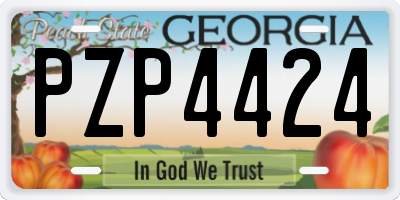 GA license plate PZP4424