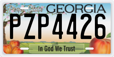 GA license plate PZP4426