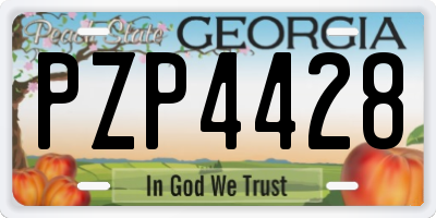 GA license plate PZP4428