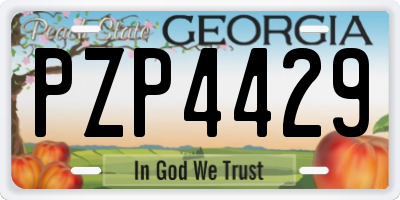 GA license plate PZP4429