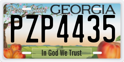 GA license plate PZP4435