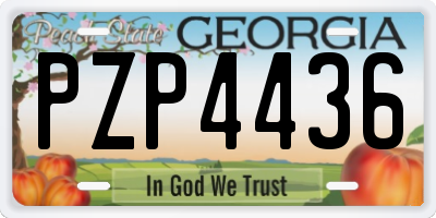 GA license plate PZP4436